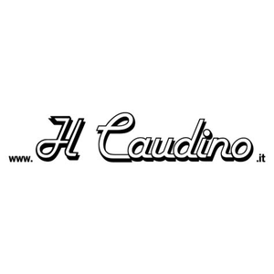 Ilcaudino.it